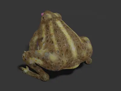 toad 3d frog Low-poly 3D model