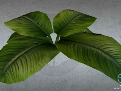 Plant lolw poly Low-poly 3D model