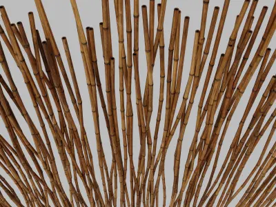 Bamboo low  decor pebble n1 3D model