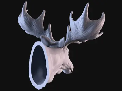 Moose Head 3D print model