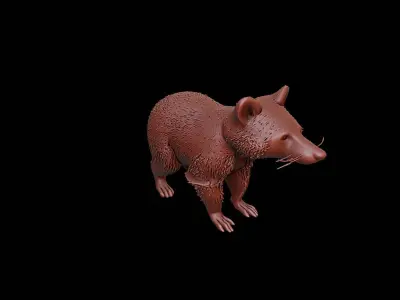 Raccoon Animal Sculpture 3D print model purchase