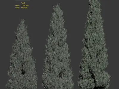 Thuja set - 3 models 3D model