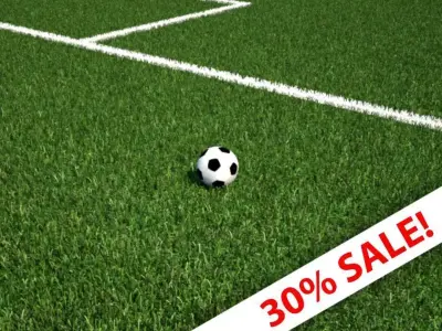 Rigged - Football - Soccer Ball - Squash and Stretch 3D model Low-poly 3D model