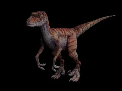 Jurassic Park Raptor Velociraptor 3D model Blender Low 3D model