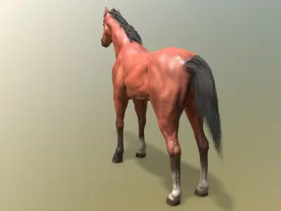 Game Horse Low-poly 3D model