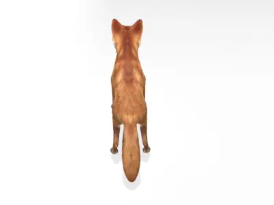 This model Fox Low-poly 3D model