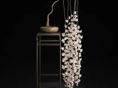 Bonsai Magnolia 3D model