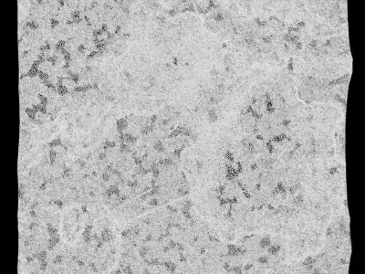 430-RockPanel sandstone wall texture 3D model