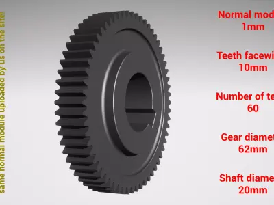 Cylindrical gear - paired - z60 m1 D62 d20 3D print model