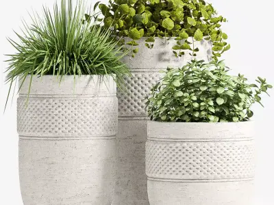 Decorative plant set-61 3D model