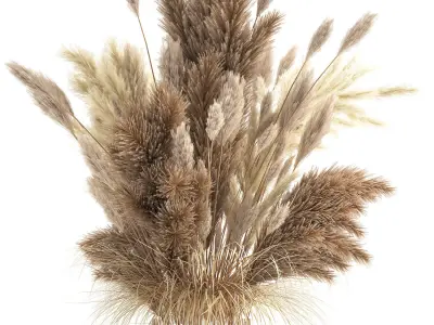 Bouquet of dried white reeds in a Vase 146 3D model