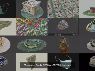 3D scanned Bundle SPECIAL OFFER 3D Model Collection