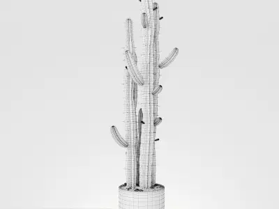 Plant 6 2 two cactus plants in pot 3D model