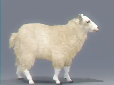 Rigged Sheep 3D model