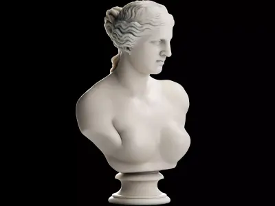 Venus De Milo Bust 3D model