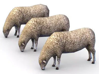 Low Poly Farm Sheep Low-poly 3D model