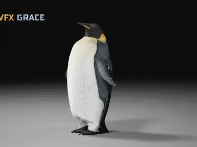 Emperor Penguin  UE Character Asset 3D model