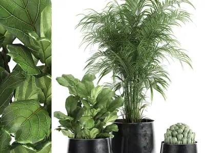 Houseplants in a pot for the interior 869 3D model