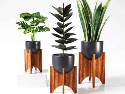 plant collection set 03 3D model