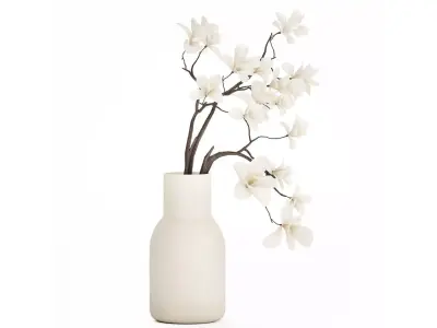 Bouquet Flowers Branches Of Blooming  Magnolia 530 3D model