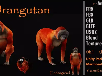 Orangutan  Low-poly 3D model