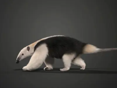 Baby Anteaters Animated VFX Grace 3D model