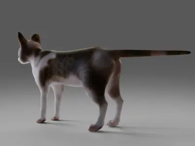 Calico Cat No Rigged V3 Low-poly 3D model