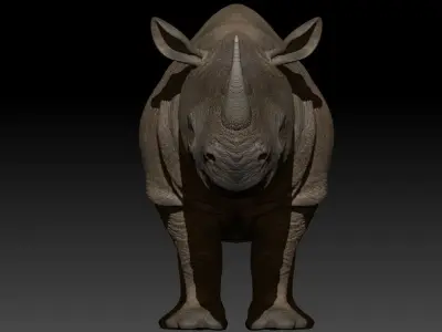 Rhino 3D Photorealistic Model with Uv and  2Texture  Low-poly 3D model