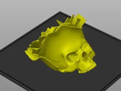 Rose Skull 3D print model