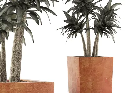 Plants Collection 106 3D model