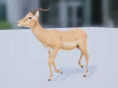 African Animal Pack Low-poly 3D model