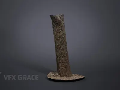 Apricot tree 001 3D model