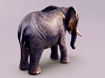 Elephant adult baby 3D model