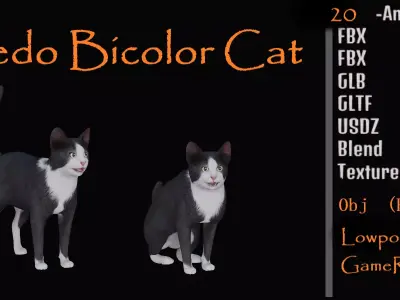 Tuxedo Cat Low-poly 3D model