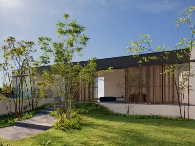 Trees - Pack 2 3D model