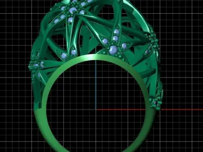 Ring bi 64 3D print model