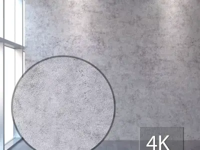 Decorative plaster 333 Texture