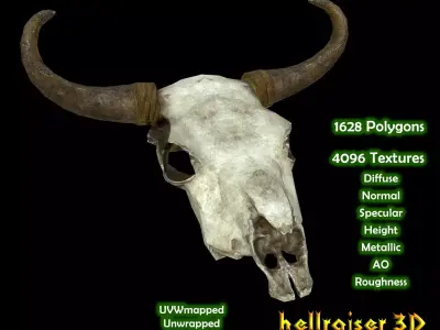Cow Skull - PBR - Textured Low-poly 3D model