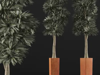 Plants Collection 102 3D model