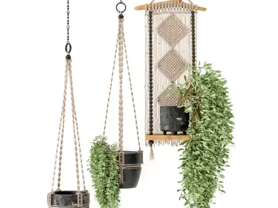Indoor Plants in rusty Concrete Pot with Macrame - Set 3 3D model