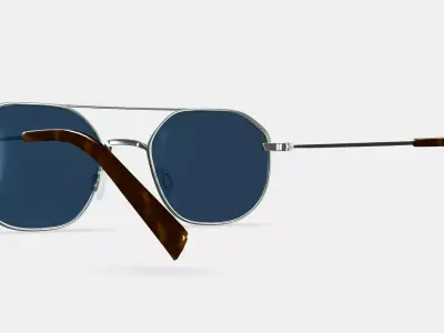 Renaldo Sunglasses in Antique Silver 3D model