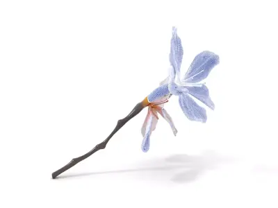 Cherry Blossom Branch model pack Low-poly 3D model