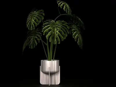 MONSTERA IN POT Low-poly 3D model