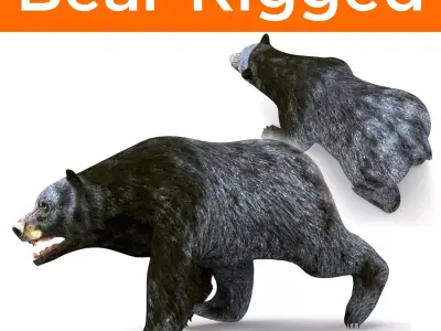 Black Bear Rigged 3D Models Low-poly 3D model