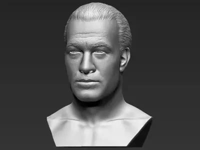 Steven Seagal bust 3D printing ready stl obj formats 3D print model