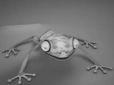 Poison Arrow Frog 3D model