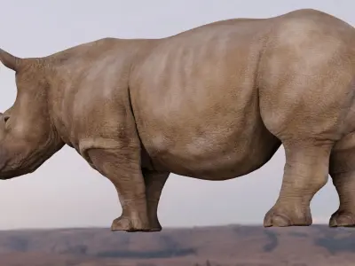 Rhino Animated and Rigged  Low-poly 3D model