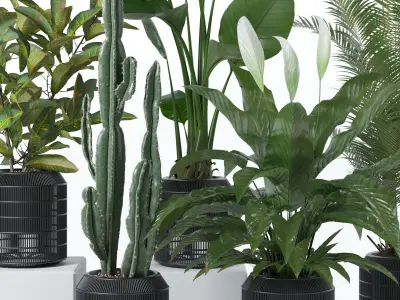 Plants collection 134 3D model