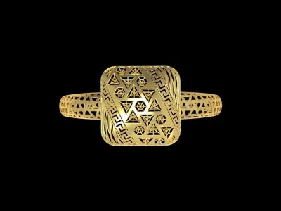 Fusion Gold Wristband RABBW12 3D print model