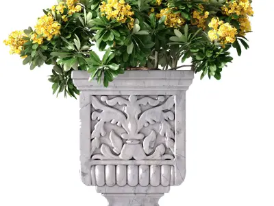 Outdoor garden plant tree in a marble vase planter urn flowerpot 3D model